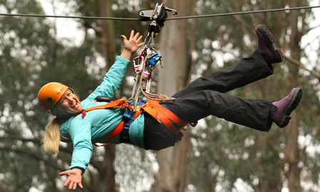 Illawarra Fly Zipline Tour