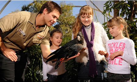 WILD LIFE Sydney Zoo