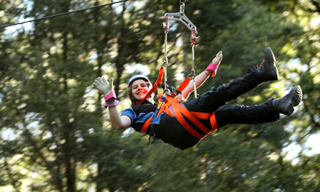 Zipline Tour at Illawarra Fly Treetop Adventures