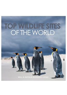Top Wildlife Sites Of The World