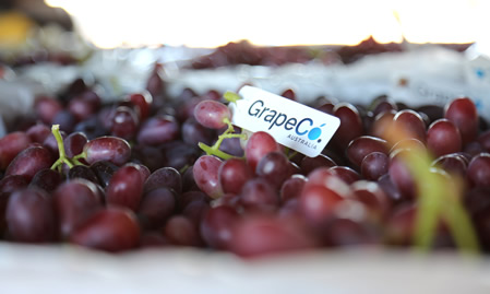 Grape Co: Australian Table Grapes