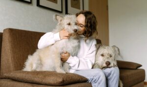 Pet Owners: What do you need to do to stay healthy?