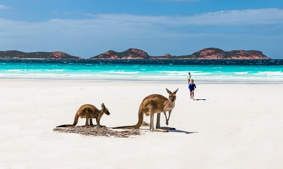 4 Fun and Cool Things to Do in Australia