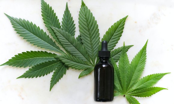 Shopping for CBD Products: 6 Tips on Doing It Properly