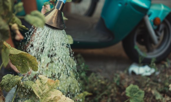 Garden Watering Tools and Equipment: Essentials for Efficient Irrigation