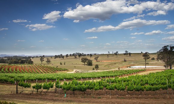 Hunter Valley Unveiled: 7 Irresistible Reasons to Plan Your Visit