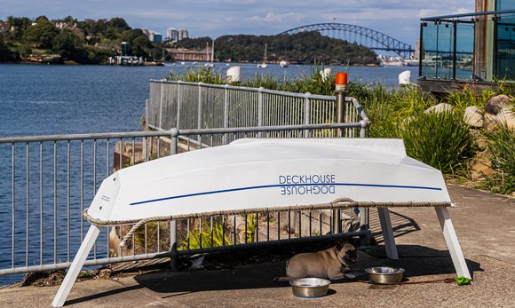 Deckhouse Woolwich: A Must-Visit Sydney Waterfront Venue