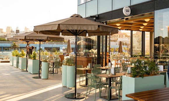 Touch Wood: Sydney Fish Market's New All-Day Dining Destination