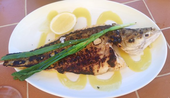 Hamsi Street: Hamsi Taverna’s Takeaway store opens at Sydney Fish Market