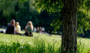 5 Ultimate Picnic Spots in Sydney (And What to Pack in Your Esky)