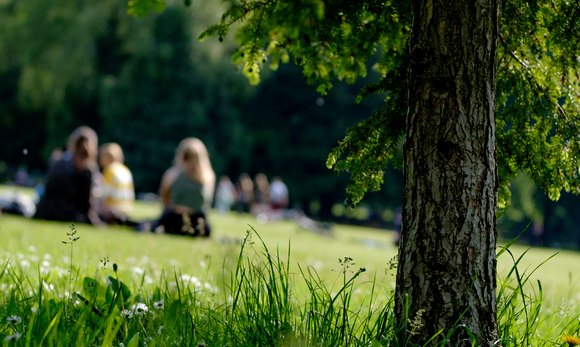 5 Ultimate Picnic Spots in Sydney (And What to Pack in Your Esky)