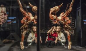 BODY WORLDS: The Anatomy of Happiness opens at The Rocks