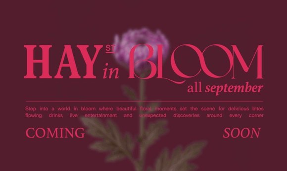 Hay St Brings Blossom Season To Sydney This Spring